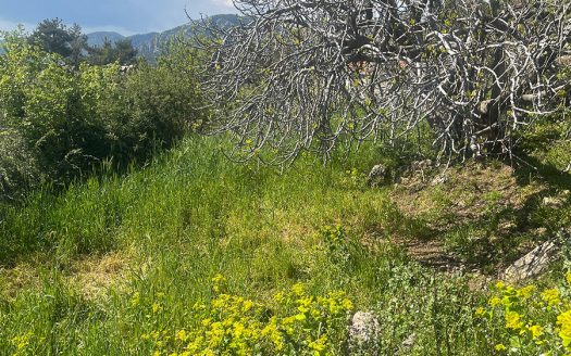 Dağpınar imarlı arsa satılık