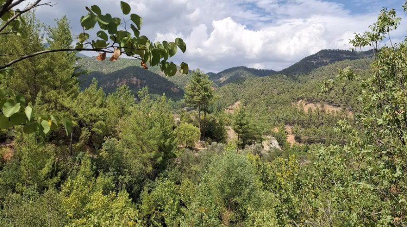 Muğla Menteşe Göktepe Yatırımlık Arazi