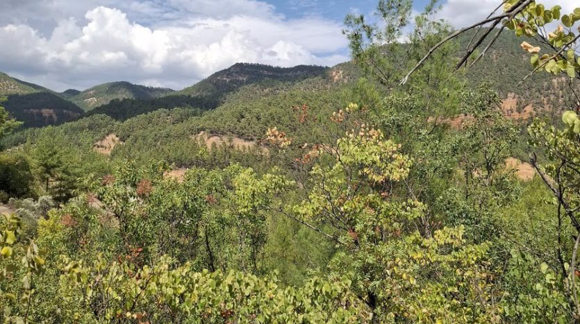 Muğla Menteşe Göktepe Yatırımlık Arazi