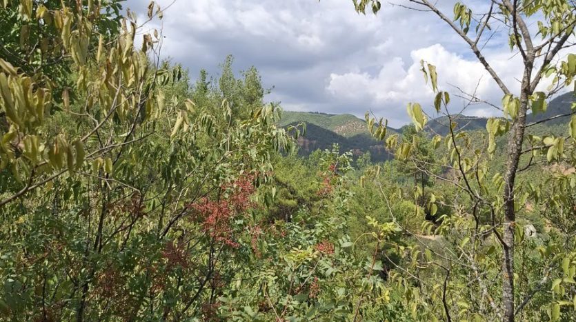 Muğla Menteşe Göktepe Yatırımlık Arazi