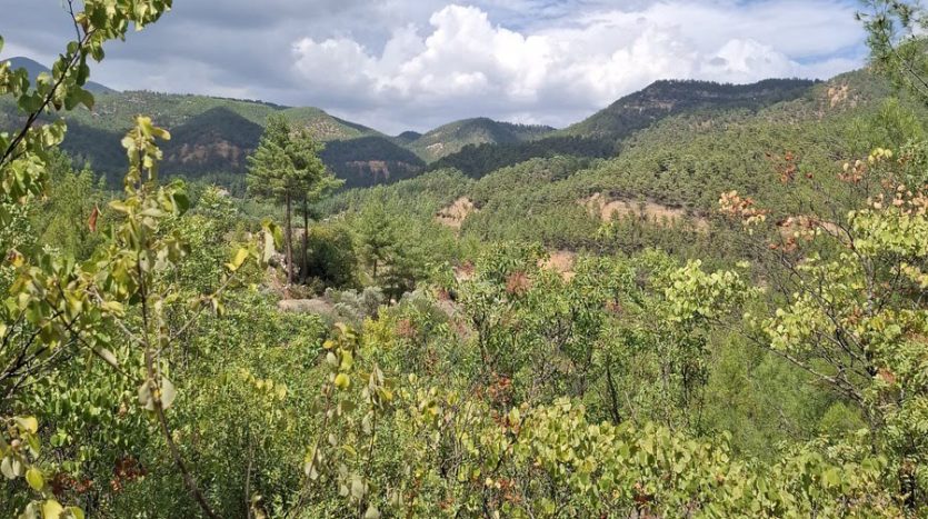 Muğla Menteşe Göktepe Yatırımlık Arazi