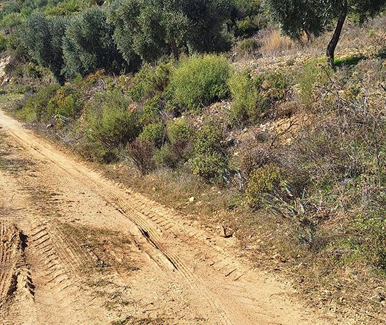 Muğla Menteşe Dağpınar Mahallesi Satılık yatırım amaçlı ve uygun fiyatlı arsa.