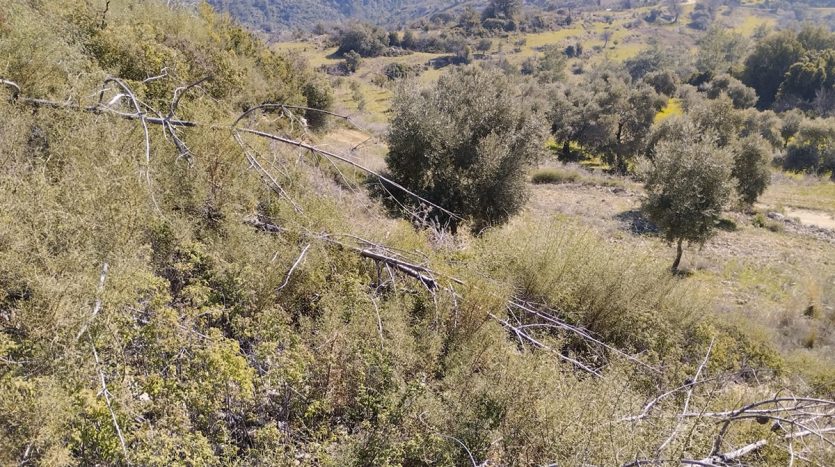 Muğla Menteşe Dağpınar Mahallesi Satılık yatırım amaçlı ve uygun fiyatlı arsa.