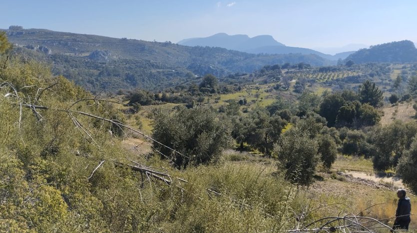 Muğla Menteşe Dağpınar Mahallesi Satılık yatırım amaçlı ve uygun fiyatlı arsa.