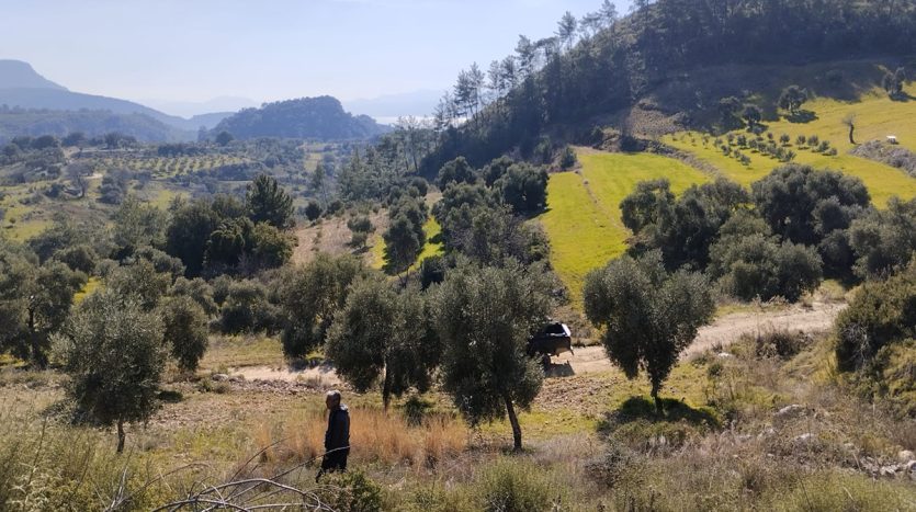 Muğla Menteşe Dağpınar Mahallesi Satılık yatırım amaçlı ve uygun fiyatlı arsa.