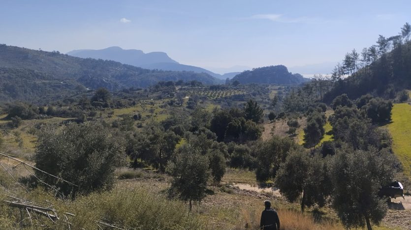 Muğla Menteşe Dağpınar Mahallesi Satılık yatırım amaçlı ve uygun fiyatlı arsa.