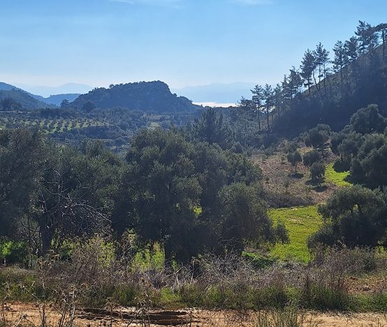 Muğla Menteşe Dağpınar Mahallesi Satılık yatırım amaçlı ve uygun fiyatlı arsa.