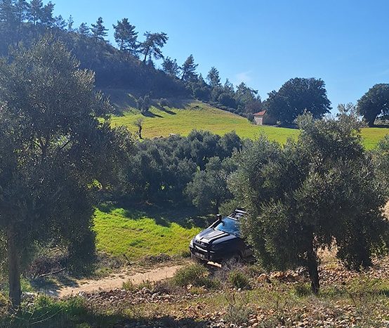 Muğla Menteşe Dağpınar Mahallesi Satılık yatırım amaçlı ve uygun fiyatlı arsa.