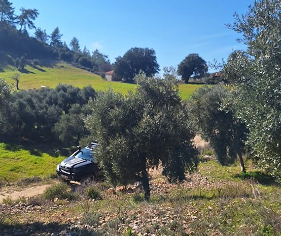 Muğla Menteşe Dağpınar Mahallesi Satılık yatırım amaçlı ve uygun fiyatlı arsa.