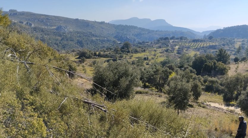 Muğla Menteşe Dağpınar Mahallesi Satılık yatırım amaçlı ve uygun fiyatlı arsa.