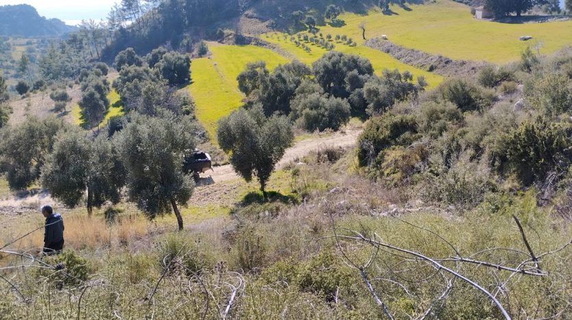 Muğla Menteşe Dağpınar Mahallesi Satılık yatırım amaçlı ve uygun fiyatlı arsa.