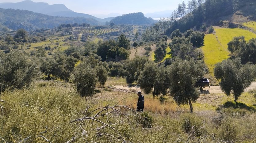 Muğla Menteşe Dağpınar Mahallesi Satılık yatırım amaçlı ve uygun fiyatlı arsa.