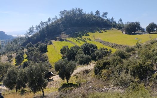 Muğla Menteşe Dağpınar Mahallesi Satılık yatırım amaçlı ve uygun fiyatlı arsa.