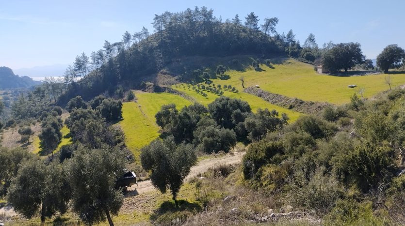 Muğla Menteşe Dağpınar Mahallesi Satılık yatırım amaçlı ve uygun fiyatlı arsa.