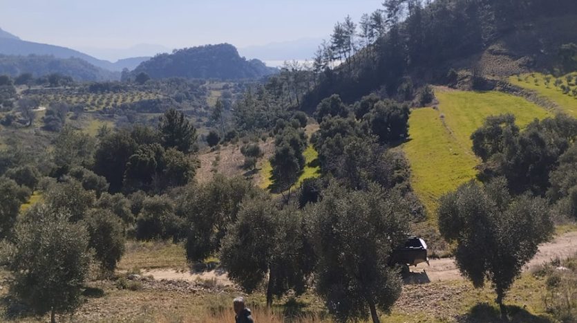 Muğla Menteşe Dağpınar Mahallesi Satılık yatırım amaçlı ve uygun fiyatlı arsa.