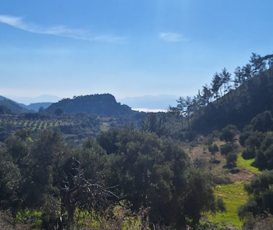 Muğla Menteşe Dağpınar Mahallesi Satılık yatırım amaçlı ve uygun fiyatlı arsa.