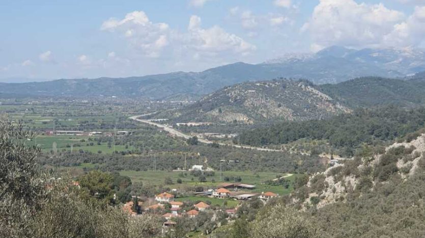 muğla milas zaytinlik arsa